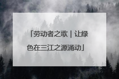 劳动者之歌｜让绿色在三江之源涌动