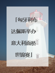 匈牙利布达佩斯举办意大利面桥世锦赛