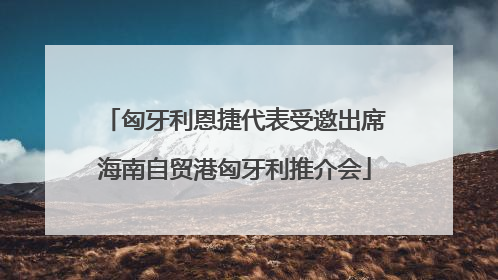 匈牙利恩捷代表受邀出席海南自贸港匈牙利推介会