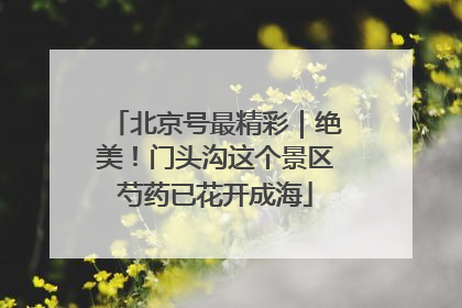 北京号最精彩｜绝美！门头沟这个景区芍药已花开成海