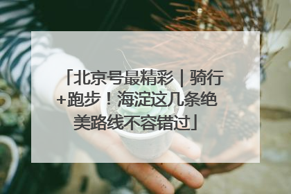 北京号最精彩｜骑行+跑步！海淀这几条绝美路线不容错过