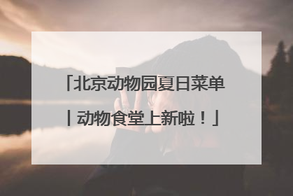 北京动物园夏日菜单丨动物食堂上新啦！