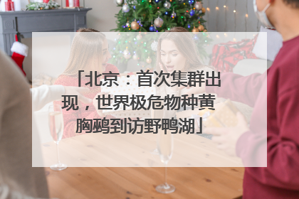 北京：首次集群出现，世界极危物种黄胸鹀到访野鸭湖