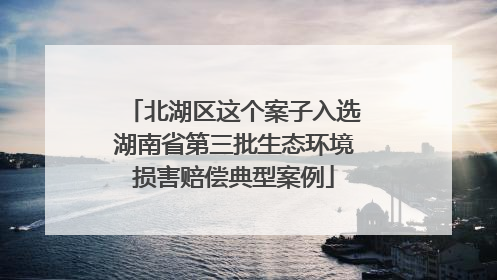 北湖区这个案子入选湖南省第三批生态环境损害赔偿典型案例