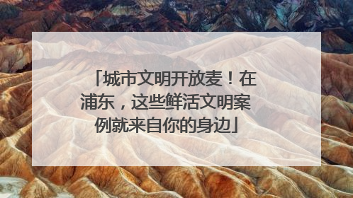 城市文明开放麦！在浦东，这些鲜活文明案例就来自你的身边