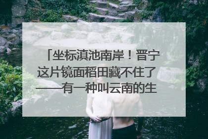坐标滇池南岸！晋宁这片镜面稻田藏不住了——有一种叫云南的生活之365天