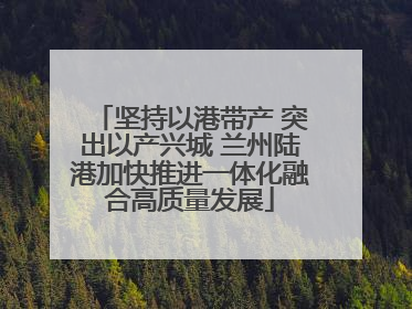 坚持以港带产 突出以产兴城 兰州陆港加快推进一体化融合高质量发展