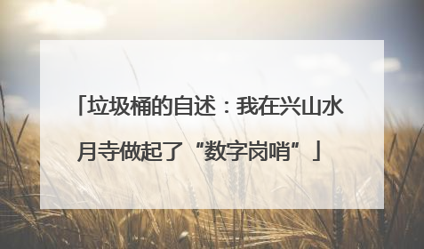 垃圾桶的自述：我在兴山水月寺做起了“数字岗哨”
