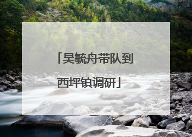 吴毓舟带队到西坪镇调研
