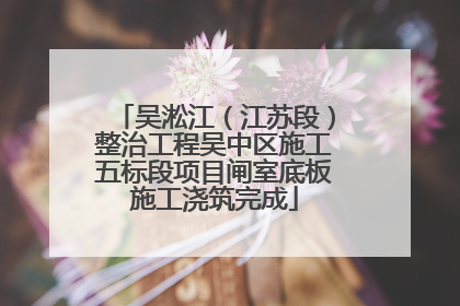 吴淞江（江苏段）整治工程吴中区施工五标段项目闸室底板施工浇筑完成