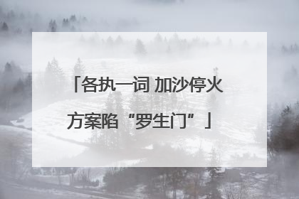 各执一词 加沙停火方案陷“罗生门”