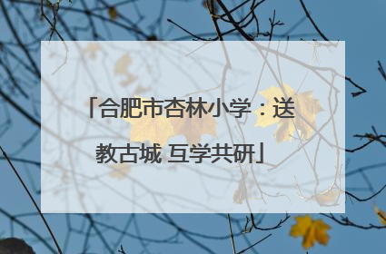 合肥市杏林小学：送教古城 互学共研