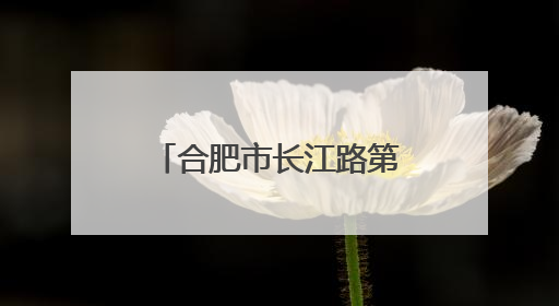 合肥市长江路第三小学兰亭分校：墨香少年乘风起 共赴新程志轩扬