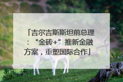 吉尔吉斯斯坦前总理：“金砖+”推新金融方案，重塑国际合作