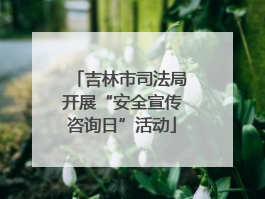 吉林市司法局开展“安全宣传咨询日”活动