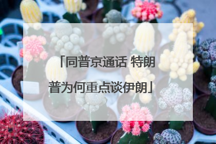 同普京通话 特朗普为何重点谈伊朗