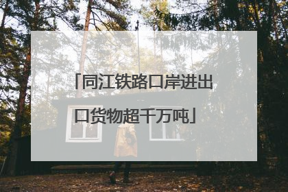 同江铁路口岸进出口货物超千万吨