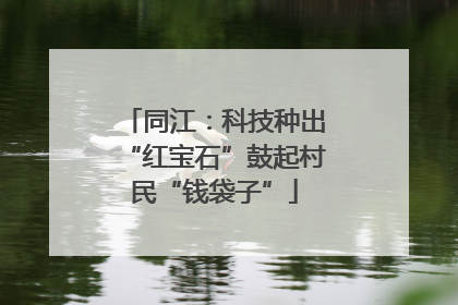 同江：科技种出“红宝石”鼓起村民“钱袋子”
