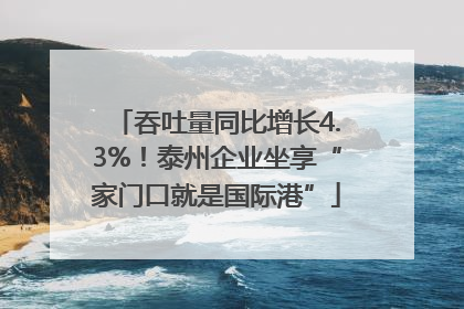 吞吐量同比增长4.3%！泰州企业坐享“家门口就是国际港”