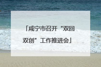 咸宁市召开“双回双创”工作推进会