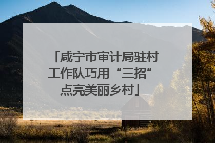 咸宁市审计局驻村工作队巧用“三招”点亮美丽乡村