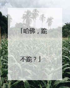 哈佛，跪不跪？