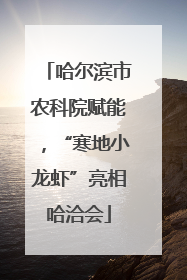 哈尔滨市农科院赋能，“寒地小龙虾”亮相哈洽会