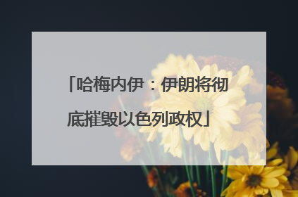 哈梅内伊：伊朗将彻底摧毁以色列政权