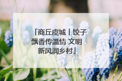商丘虞城丨饺子飘香传温情 文明新风润乡村