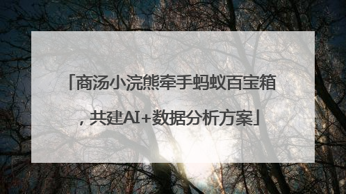 商汤小浣熊牵手蚂蚁百宝箱，共建AI+数据分析方案