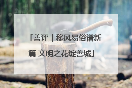 善评｜移风易俗谱新篇 文明之花绽善城