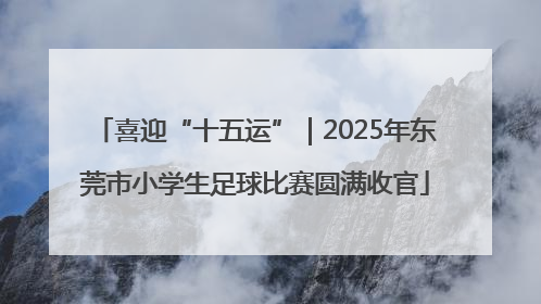 喜迎“十五运”｜2025年东莞市小学生足球比赛圆满收官