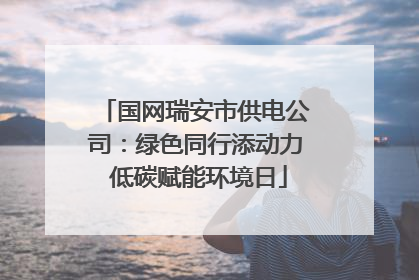 国网瑞安市供电公司：绿色同行添动力 低碳赋能环境日