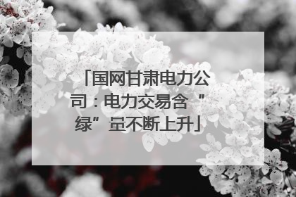 国网甘肃电力公司：电力交易含“绿”量不断上升
