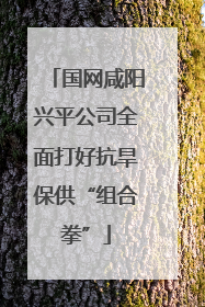 国网咸阳兴平公司全面打好抗旱保供“组合拳”