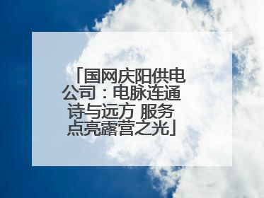 国网庆阳供电公司：电脉连通诗与远方 服务点亮露营之光