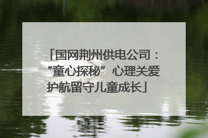 国网荆州供电公司：“童心探秘”心理关爱护航留守儿童成长