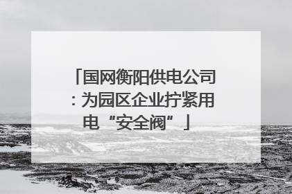 国网衡阳供电公司：为园区企业拧紧用电“安全阀”