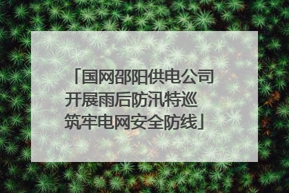 国网邵阳供电公司开展雨后防汛特巡 筑牢电网安全防线