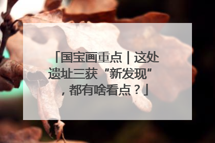 国宝画重点｜这处遗址三获“新发现”，都有啥看点？