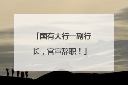 国有大行一副行长，官宣辞职！