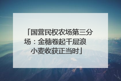 国营民权农场第三分场：金穗卷起千层浪 小麦收获正当时