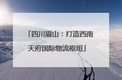 四川眉山：打造西南天府国际物流枢纽