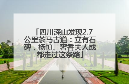 四川深山发现2.7公里茶马古道：立有石碑，杨慎、奢香夫人或都走过这条路