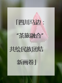 四川马边：“茶旅融合”共绘民族团结新画卷