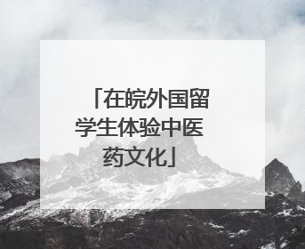 在皖外国留学生体验中医药文化