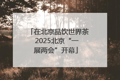 在北京品饮世界茶 2025北京“一展两会”开幕