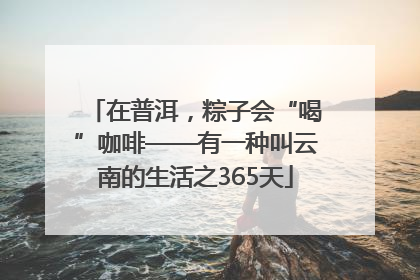在普洱，粽子会“喝”咖啡——有一种叫云南的生活之365天