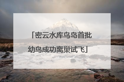 密云水库鸟岛首批幼鸟成功离巢试飞
