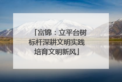 富锦：立平台树标杆深耕文明实践培育文明新风